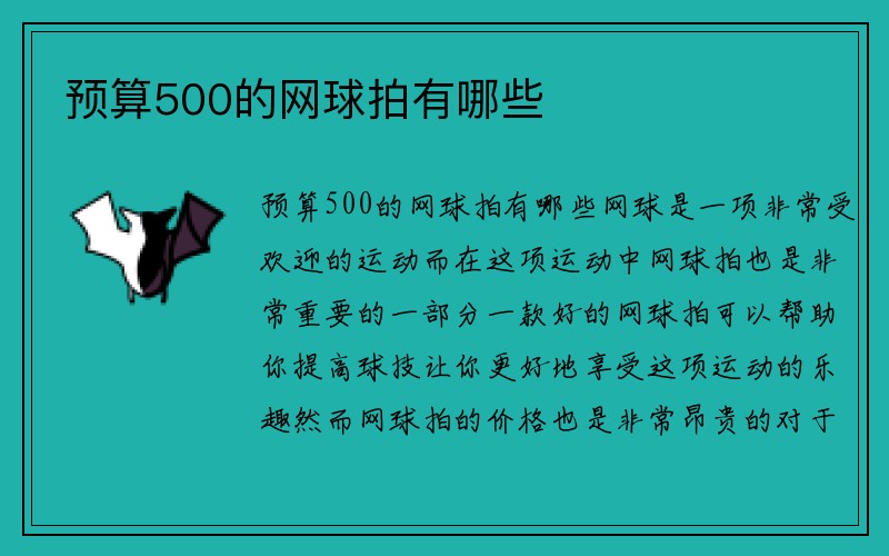 预算500的网球拍有哪些